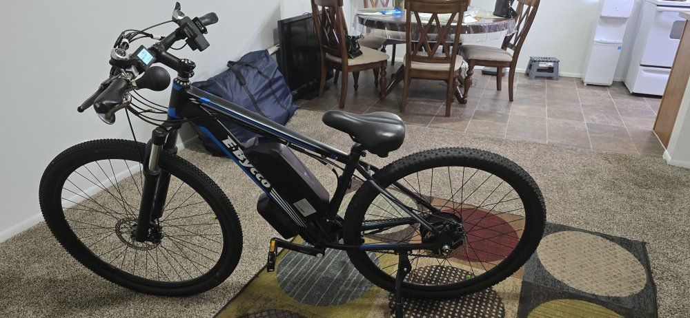 electric bike