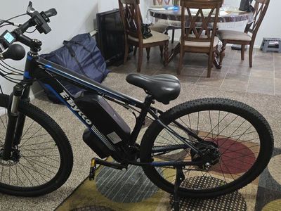 electric bike