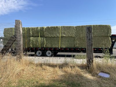 14 Bale Gooseneck Trailer Loads Delivered