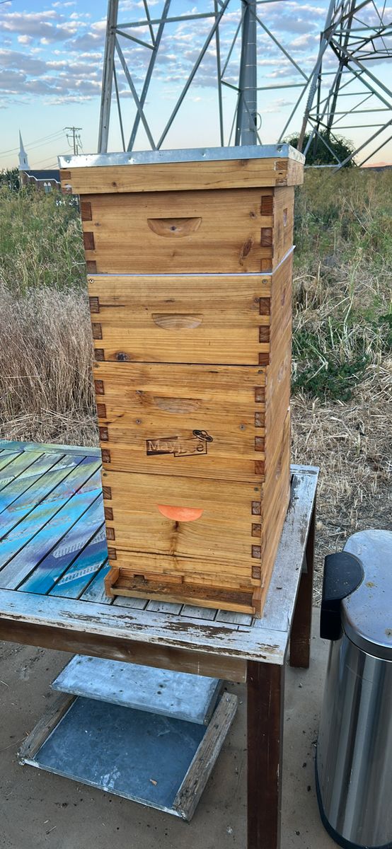May Lee 4 Tier Wooden Bee Hive - Langstroth Style for Beekeeping
