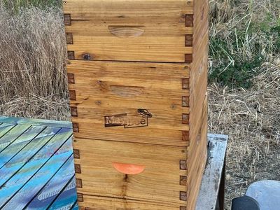 May Lee 4 Tier Wooden Bee Hive - Langstroth Style for Beekeeping