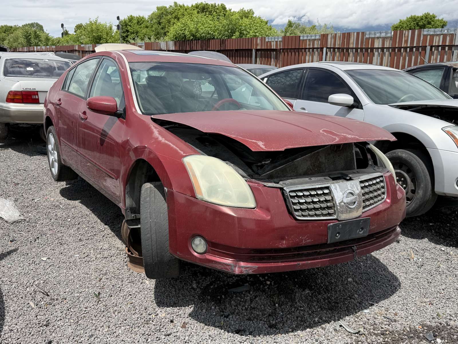 2005 Nissan Maxima Parts - UTPAP Ogden