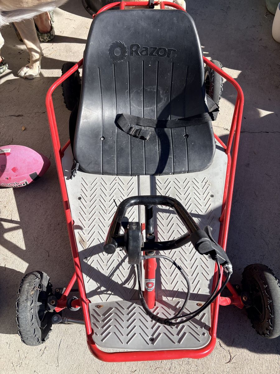 Razor go cart 24 v