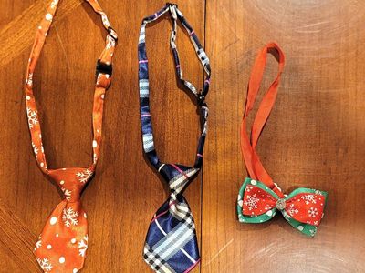 Adorable Dog Cat Ties and Bow Small Medium Adjusts