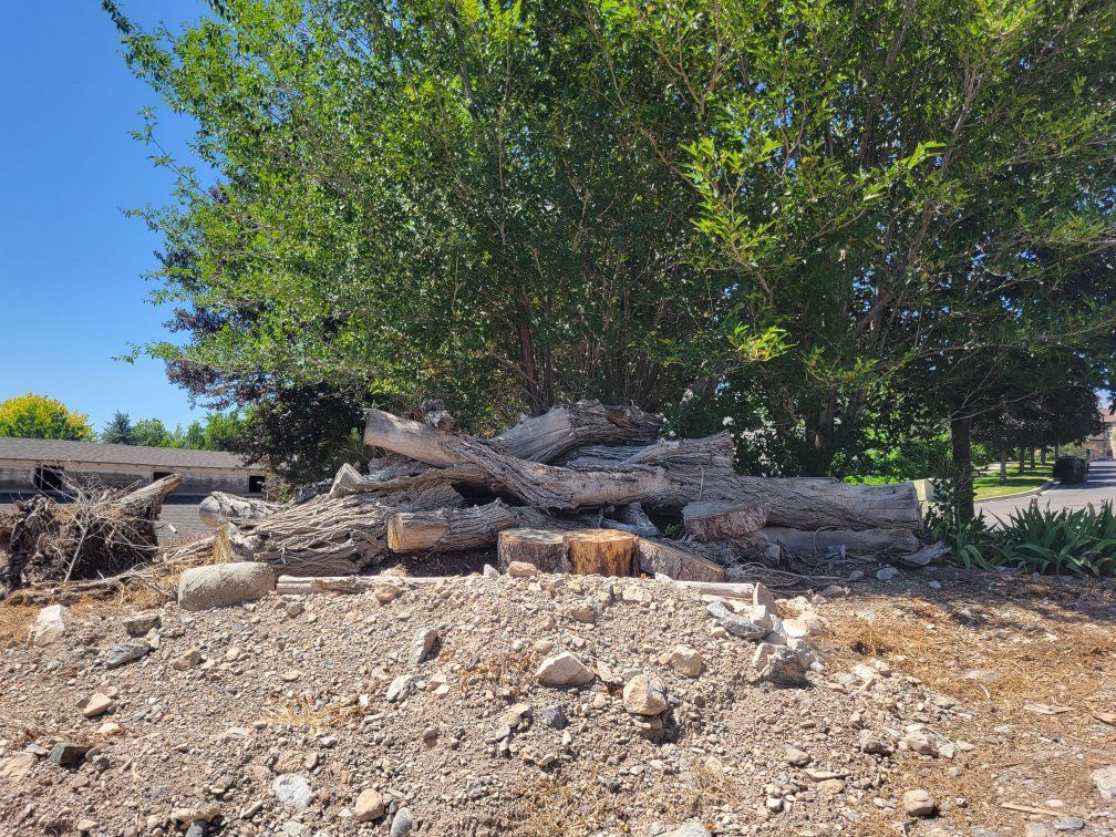 Firewood