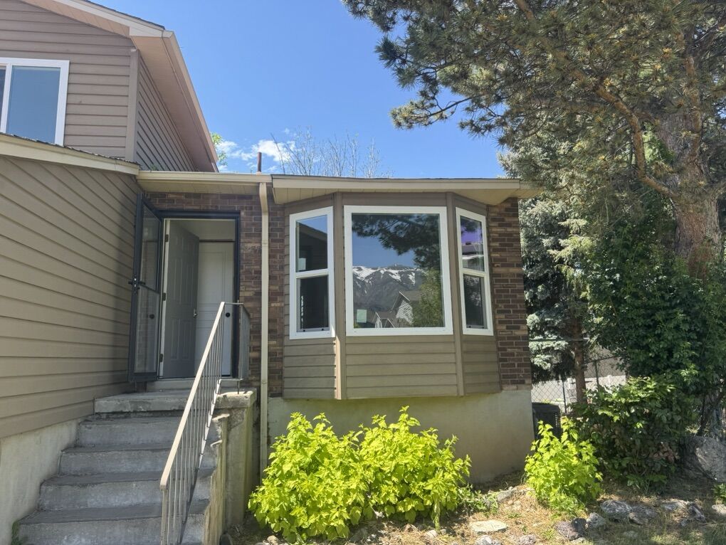 Need Replacment Windows?