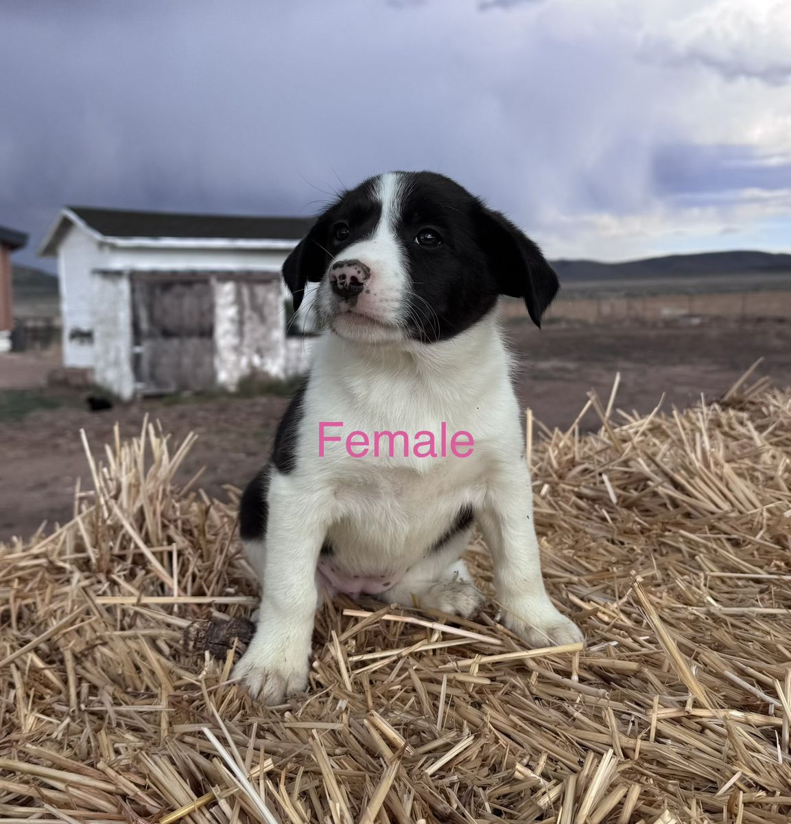 Main image 4
