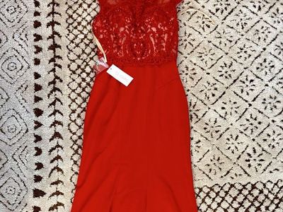 Ed Young XS Sized Prom Dress