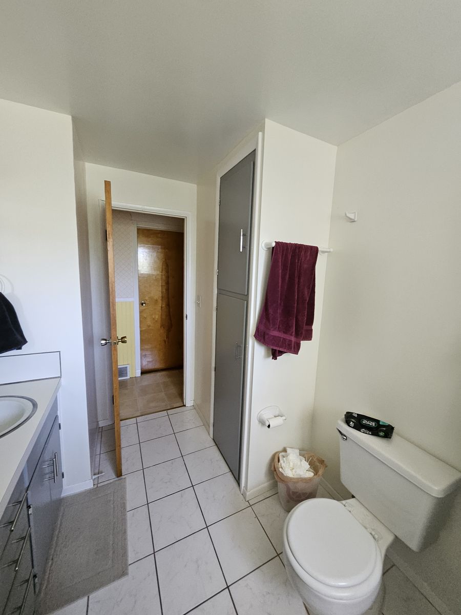Main image 12