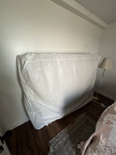 FREE Queen Mattress