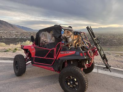 RZR 900