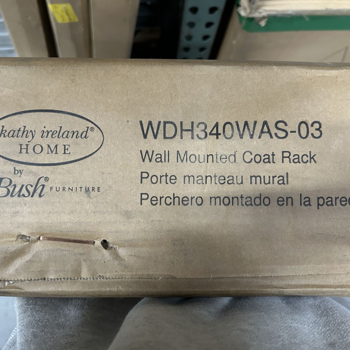 Wall Mounted Coat Rack (Model: WDH340WASAS-03