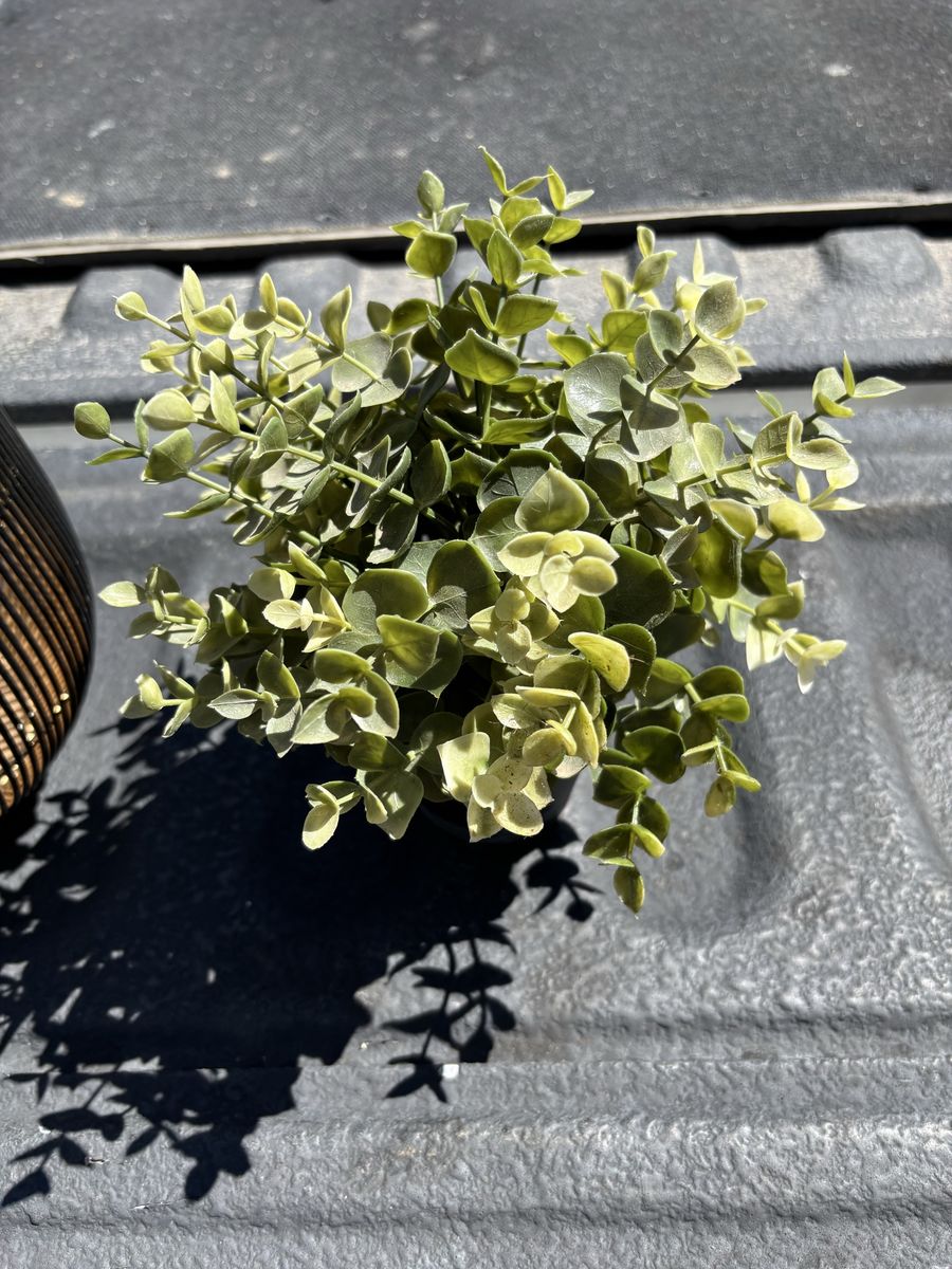 Decorative Black & Gold Metal Basket with Faux Greenery Plant