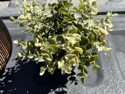 Decorative Black & Gold Metal Basket with Faux Greenery Plant