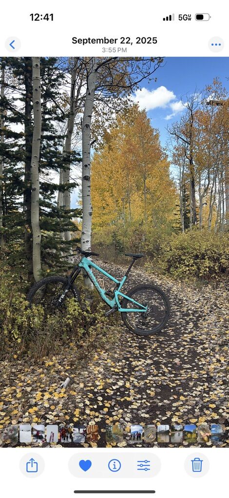 2019 Santa Cruz Bronson