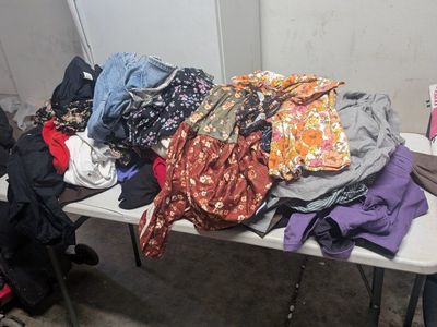 Large Clothing Lot - Women's Apparel (Small to XL) with Assorted Brands