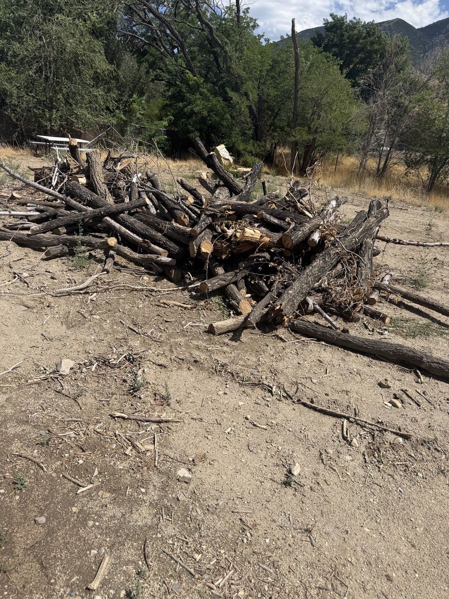 Firewood