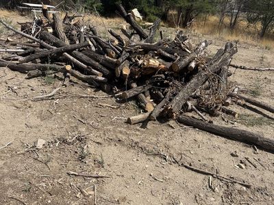 Firewood