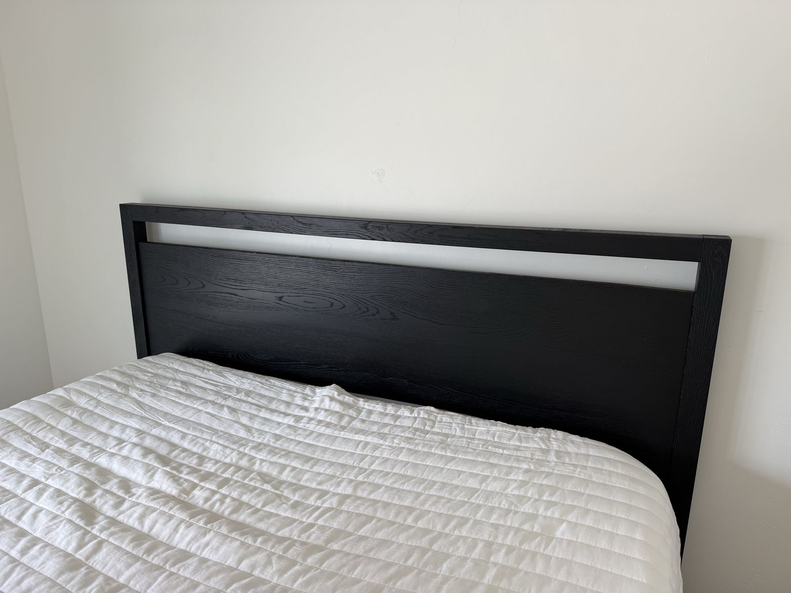Main image 5