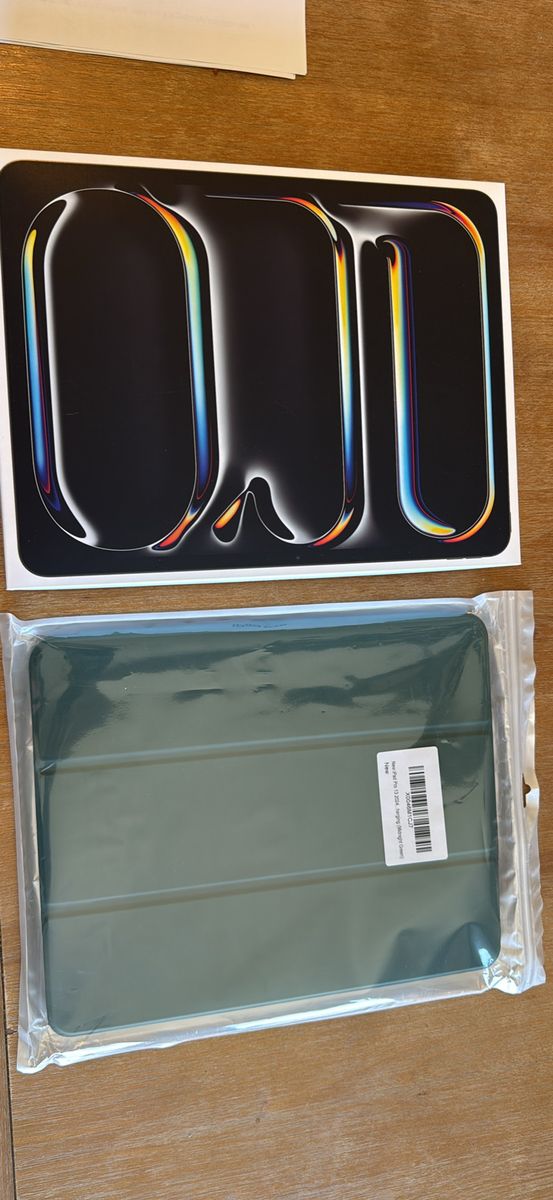 NIB IPad Pro 13” 256 G w/case