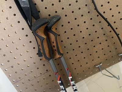 LEKI Carbon Trekking Pair.