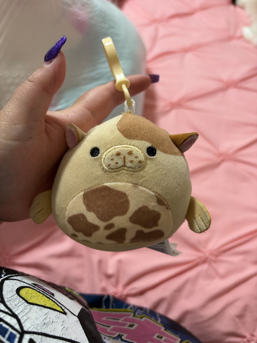 Squishmallows clip on
