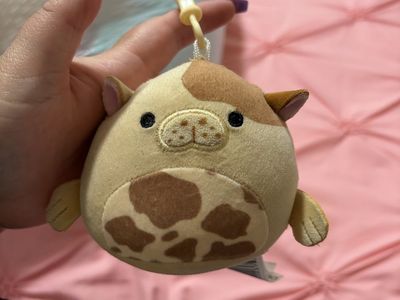 Squishmallows clip on