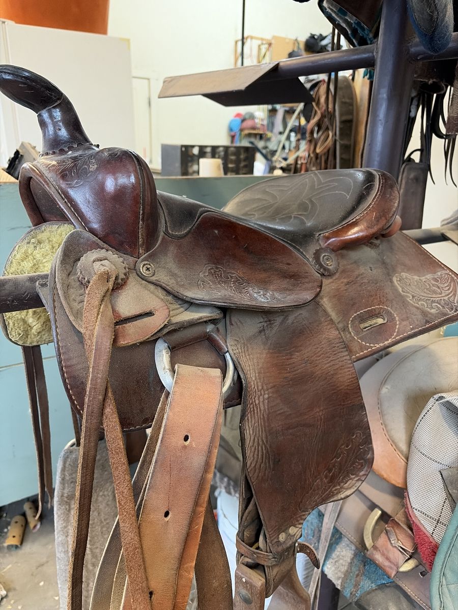 Kids Saddle