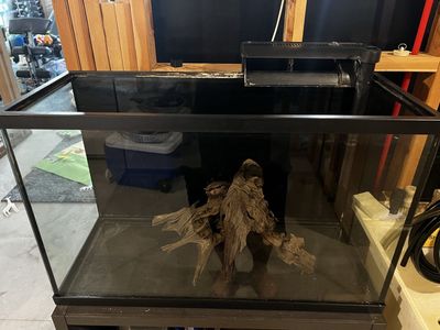 30 gallon fish tank with stand