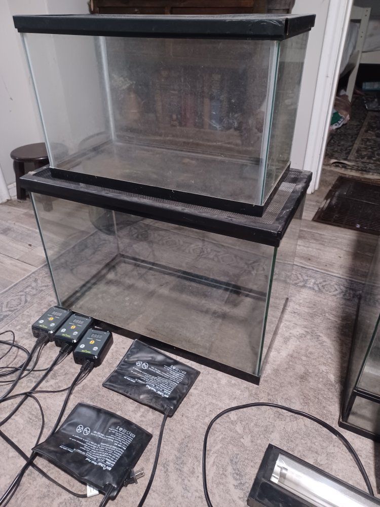 Main image 6
