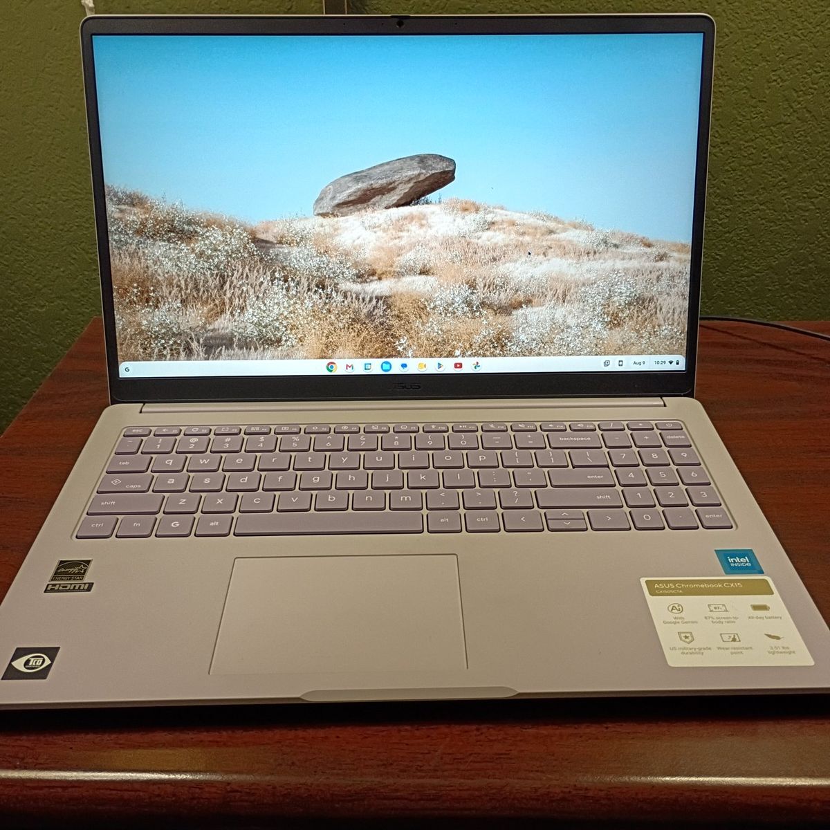Asus chromebook CX15