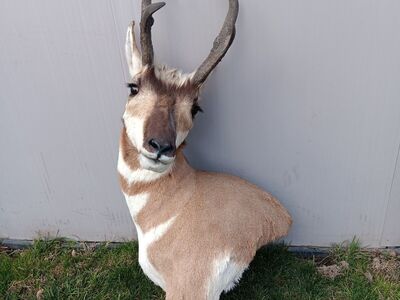 Antelope Mount