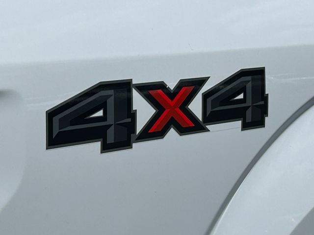 Main image 4