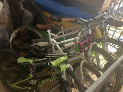 Great Bikes For Fam!!!