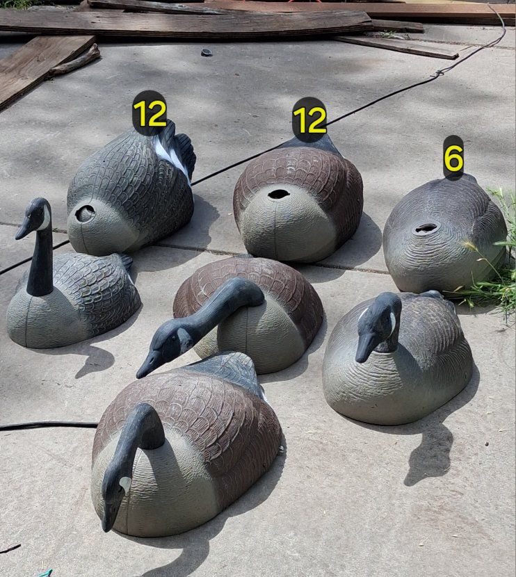 30 geese decoys