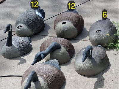 30 geese decoys