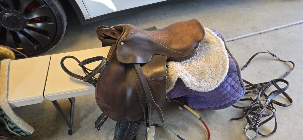 English saddle