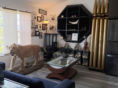 TAXIDERMY/ODDITIES ESTATE SALE 3/21-22