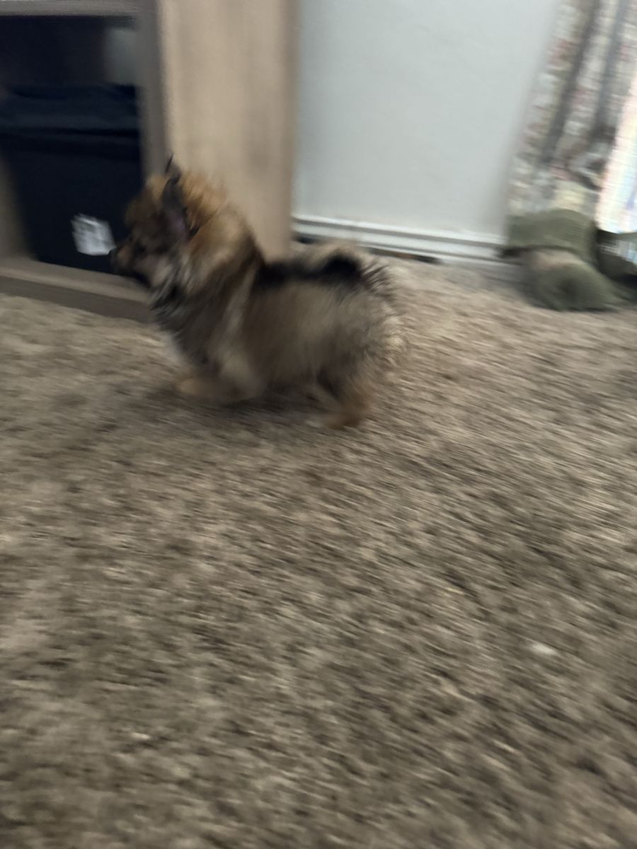 Main image 10