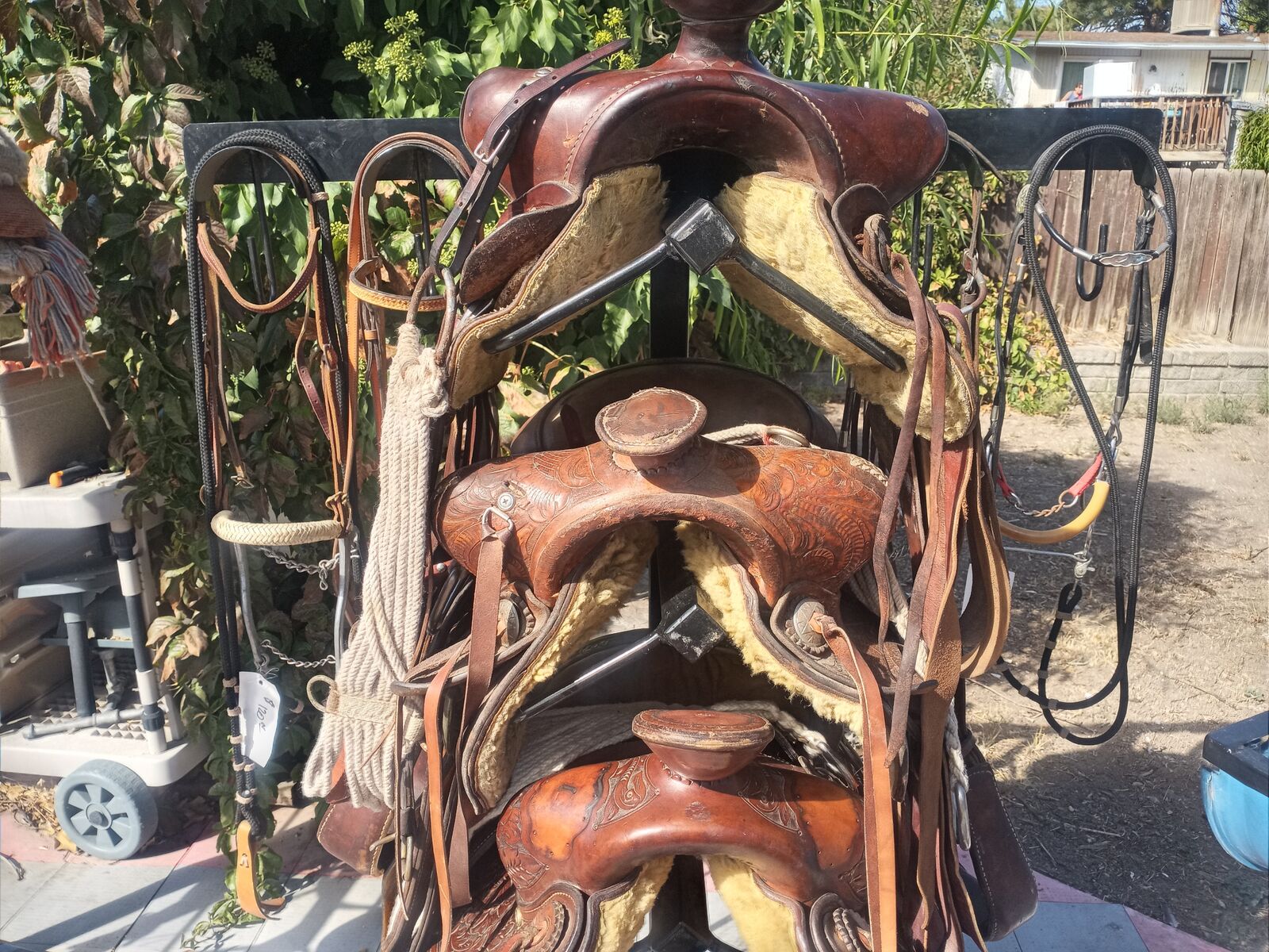 Saddles, Tack and Misc