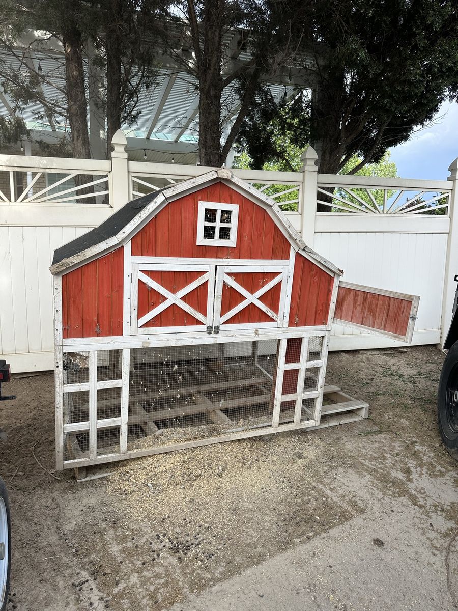 Chicken Coop