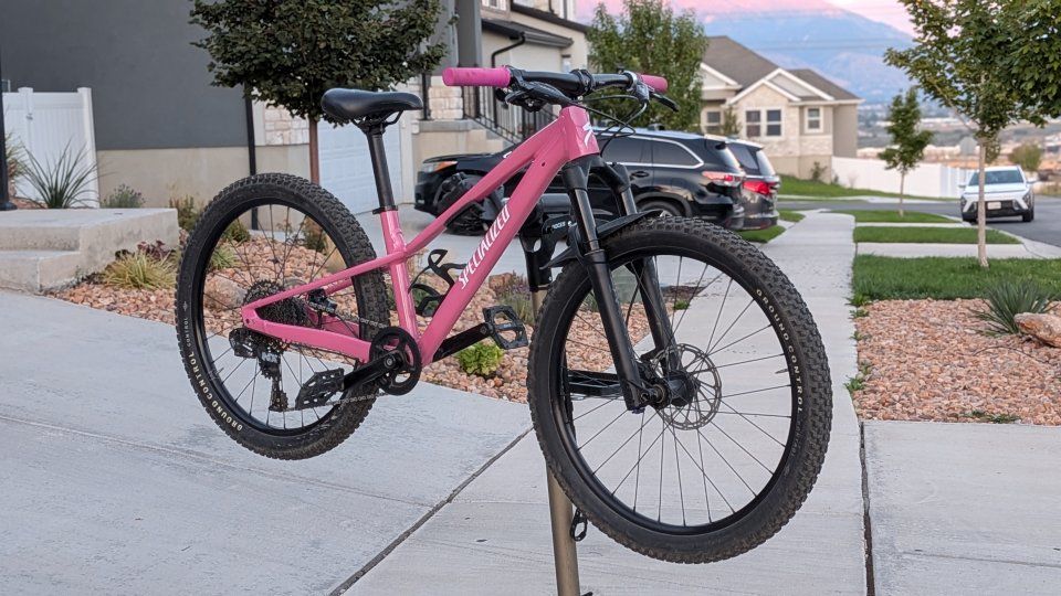 2023 Specialized RipRock Comp 24" with 100mm air fork - Custom Sparkle Pink Powdercoat (1 of 1)