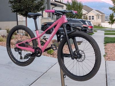 2023 Specialized RipRock Comp 24" with 100mm air fork - Custom Sparkle Pink Powdercoat (1 of 1)