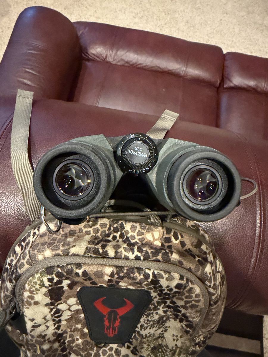Swarovski 10x42 binoculars