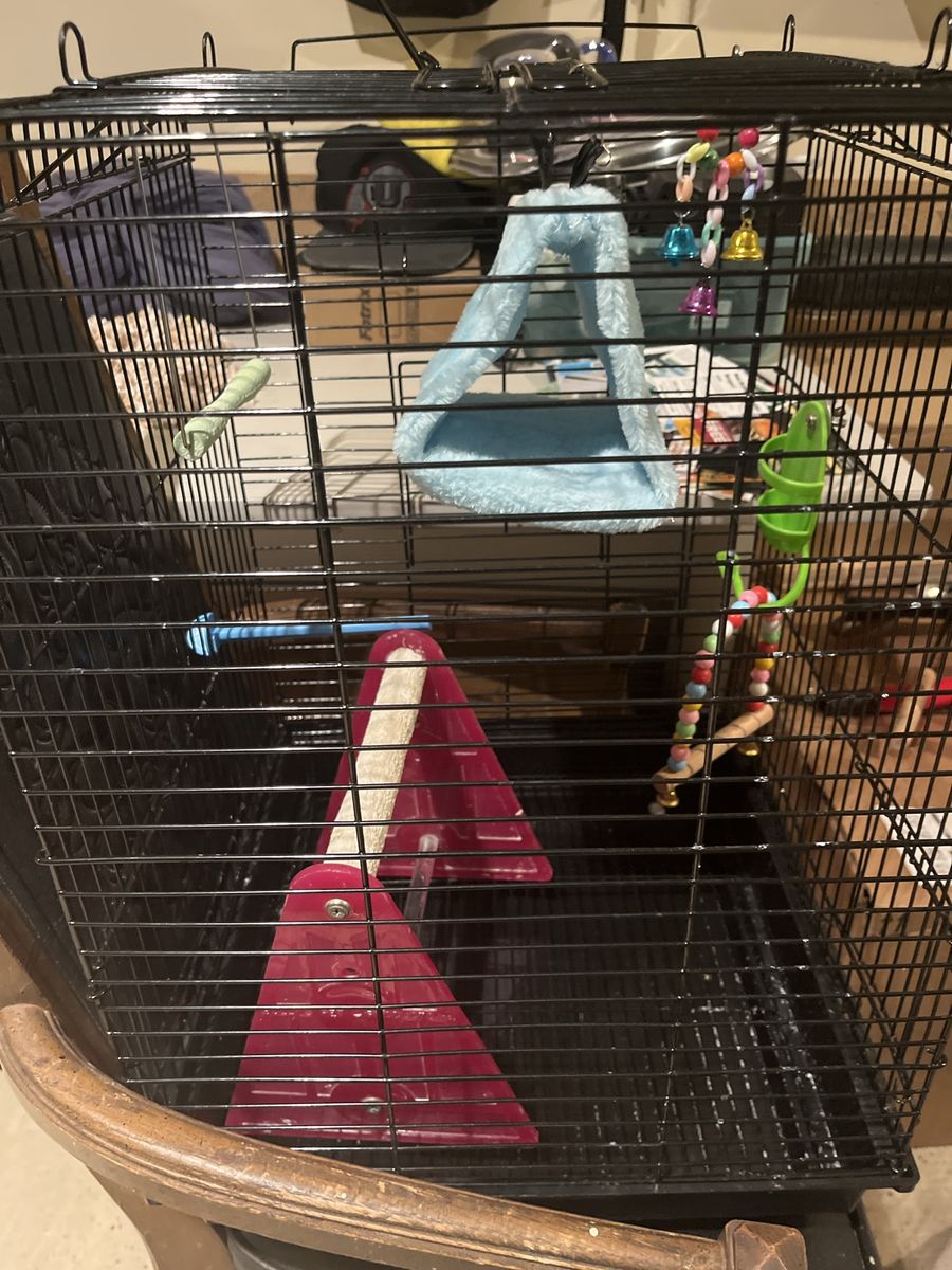 Black Wire Pet Bird Cage with Accessories and Toys  