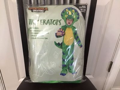 Halloween Costume