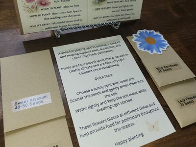 Utah Pollinator Seed Kit – 4 Easy Flower Varieties