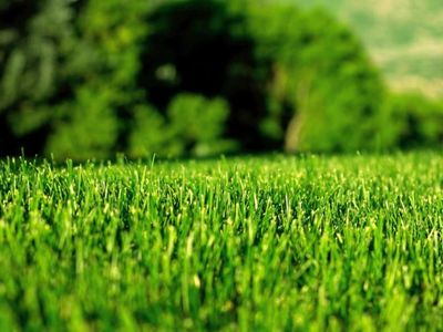 Lawn Maintenance | Landscaping | Lawn Mower