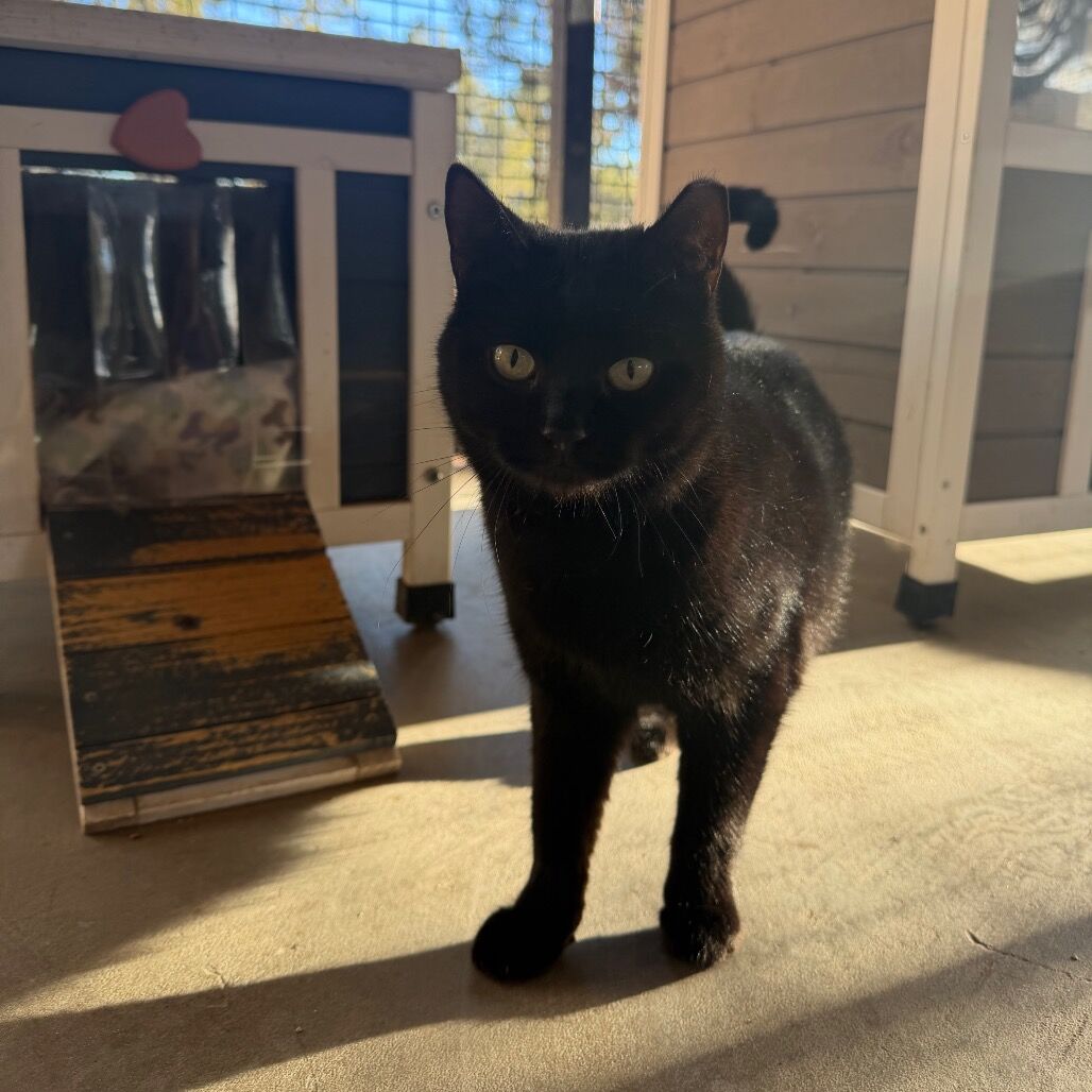 Hello my name is Zuli