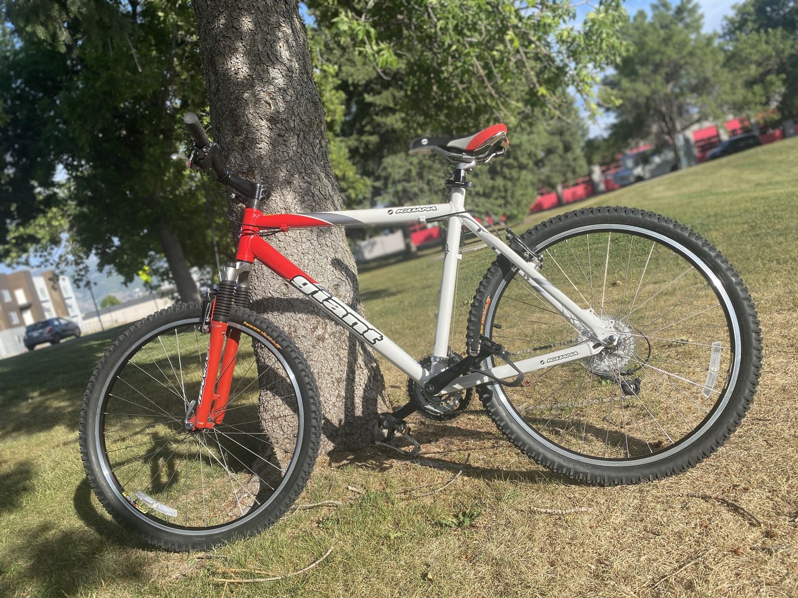 Giant Rincon Mountain Bike - Red/White - Hardtail - Ready for Trails